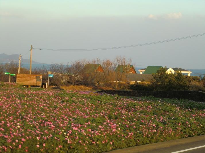 Sansan Tomie Camp Village Goto Exterior photo